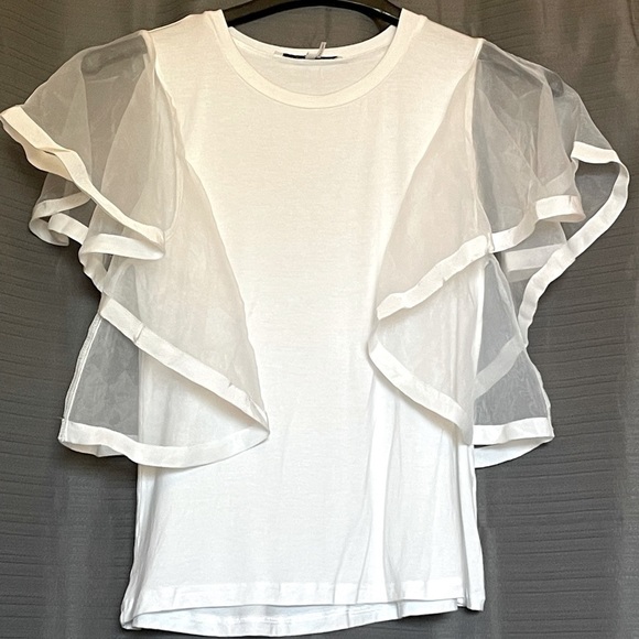 Endless Rose Tops - Endless Rose top with organza sleeves
